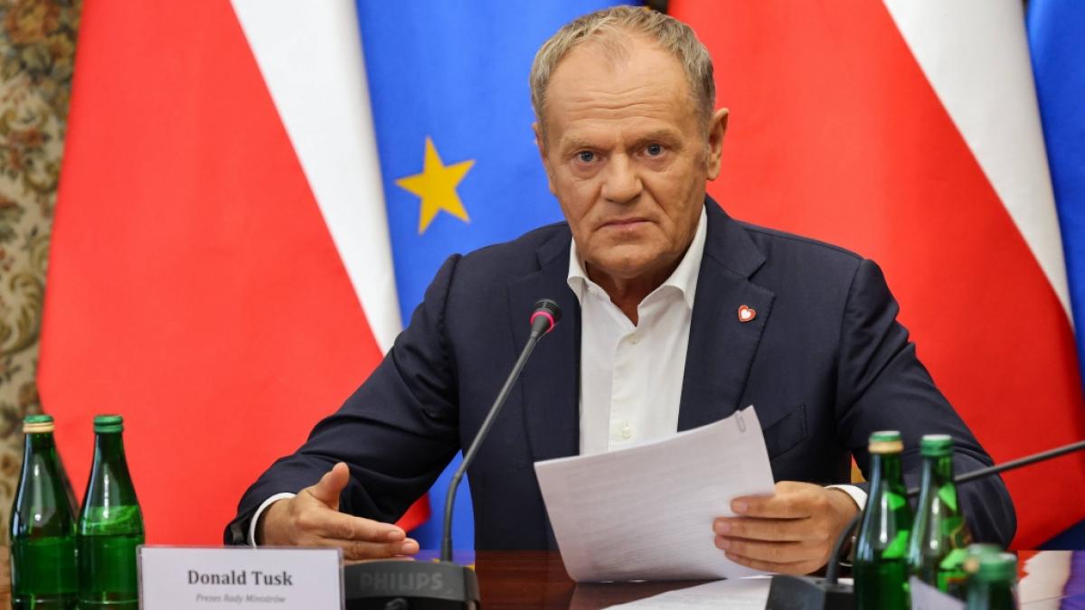 Es soll Pl&auml;ne f&uuml;r einen m&ouml;glichen Mordanschlag auf Polens Premierminister Donald Tusk geben. (Foto)