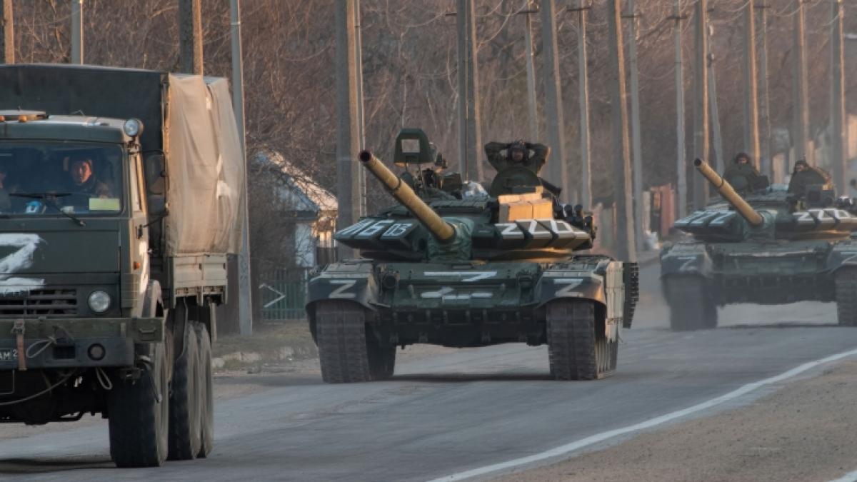 Russische Soldaten sollen angeblich ihre Gefallenen als Hundefutter zur&uuml;cklassen. (Foto)