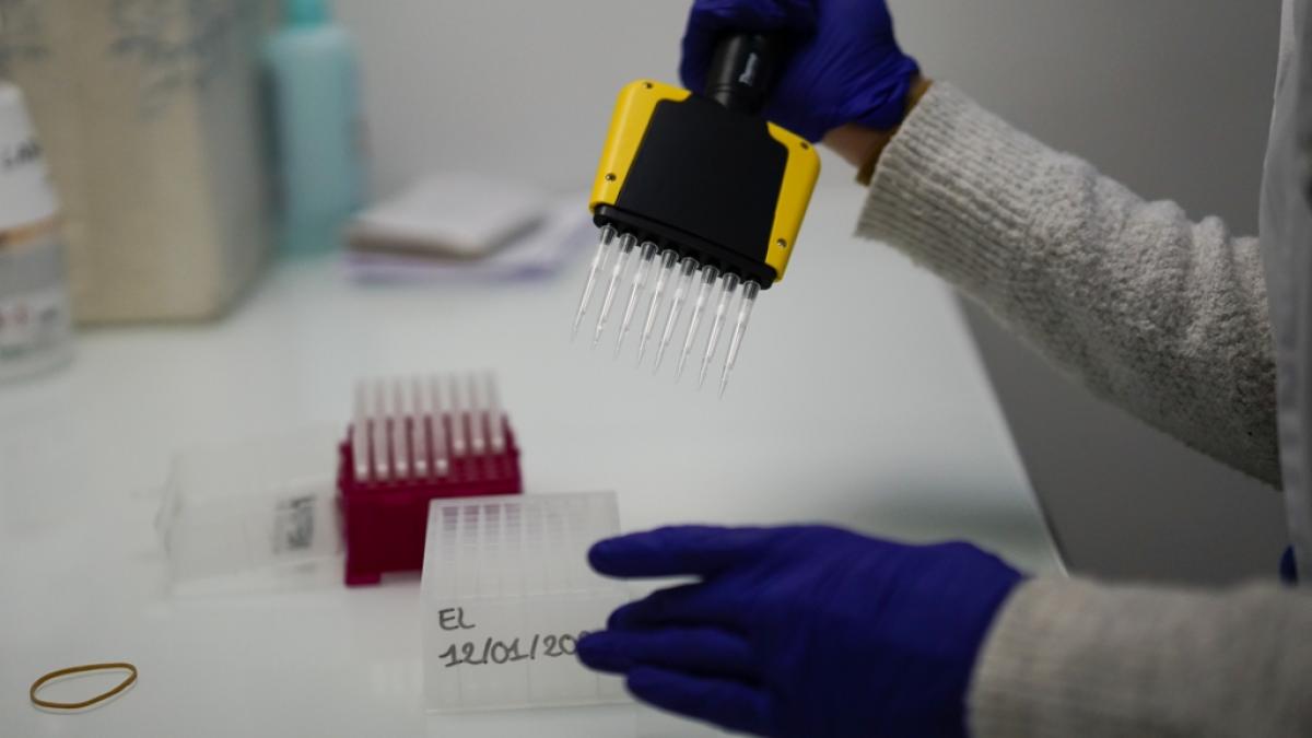 Eine Eind&auml;mmung der Corona-Mutationen ist aktuell nicht m&ouml;glich. (Foto)