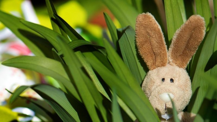 Über das schöne Wetter freut sich nicht nur der Osterhase.