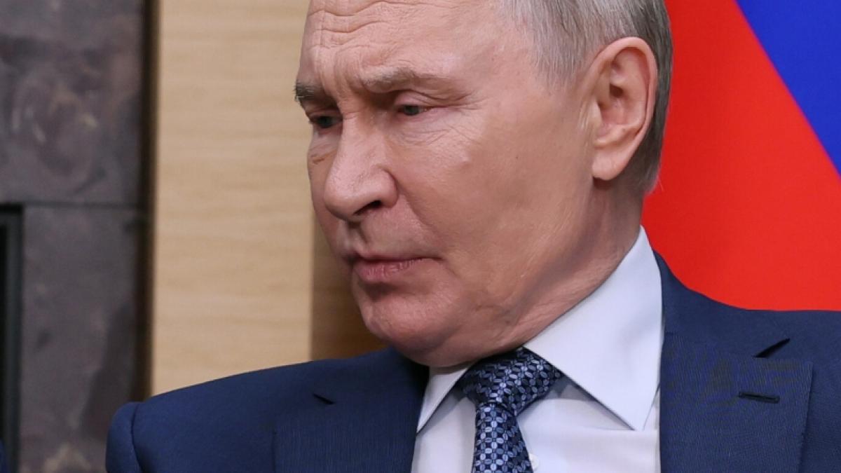 Ein Hellseher hat einen heimlichen Putin-Angriff vorhergesagt. (Foto)