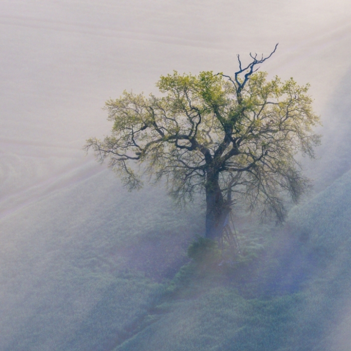 Regen - Nebel in der Region möglich