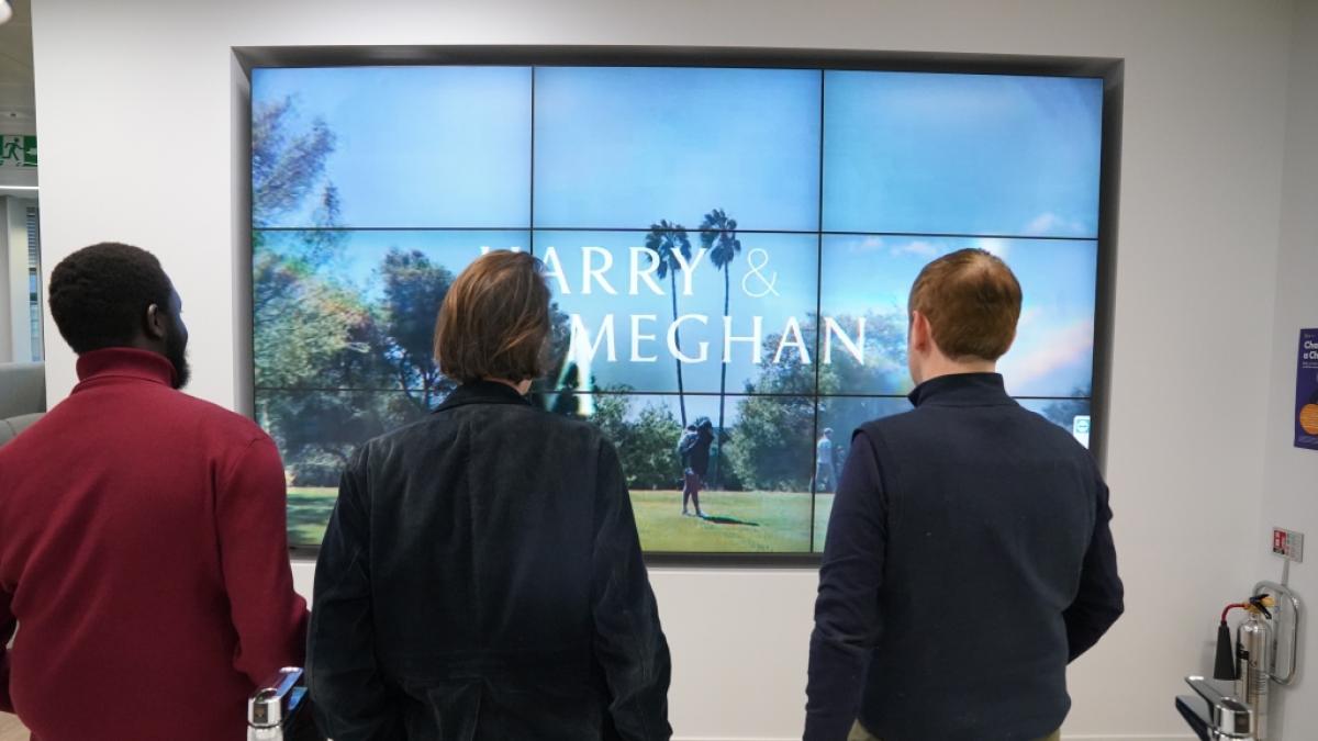 Die ersten Episoden der Netflix-Produktion "Harry  Meghan" haben in Gro&szlig;britannien eine Welle der Emp&ouml;rung ausgel&ouml;st - nun k&ouml;nnte Prinz Harry und seiner Frau die Aberkennung ihrer Titel drohen. (Foto)