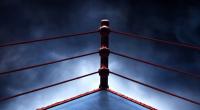 Bei einem Wrestling-Kampf kam es zu einer grauenvollen Attacke.