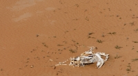 Das Opfer wurde getötet, verbrannt und anschließend im Wüstensand verscharrt. (Symbolbild)