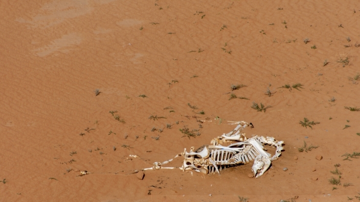 Das Opfer wurde getötet, verbrannt und anschließend im Wüstensand verscharrt. (Symbolbild)