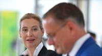 Die Partei rund um Alice Weidel steckt in einem Umfrage-Tief. Die AfD scheint derzeit so unbeliebt wie nie.