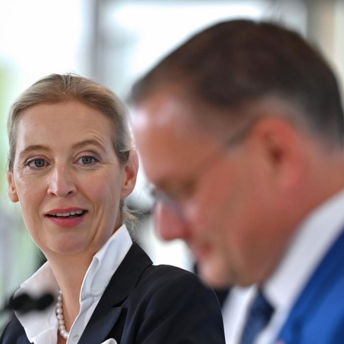 AfD stürzt dramatisch ab – Umfrage zeigt neuen Tiefpunkt