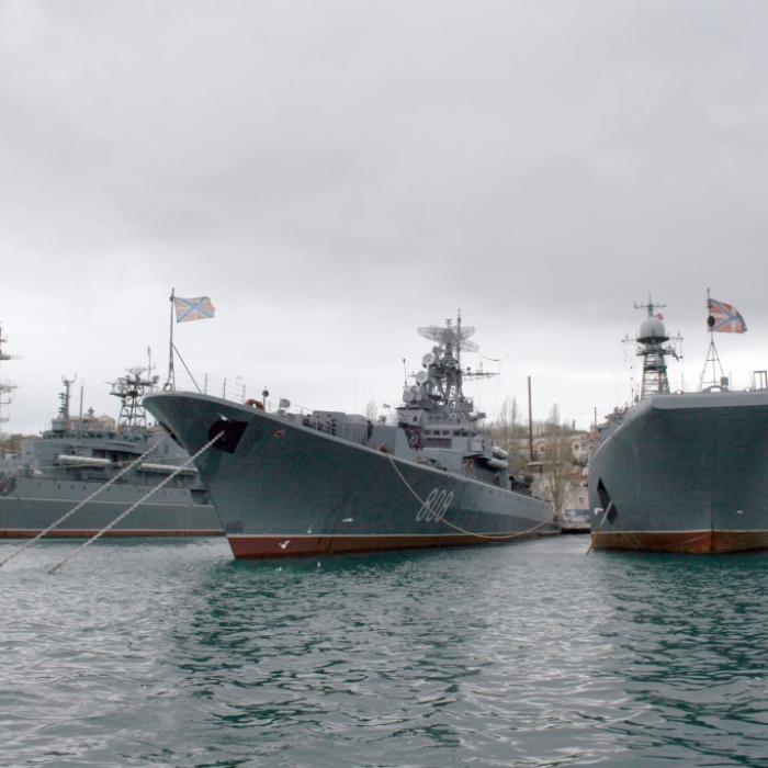 Putins Marine 