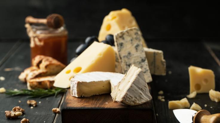 Der Käse ist mit Bakterien verunreinigt.