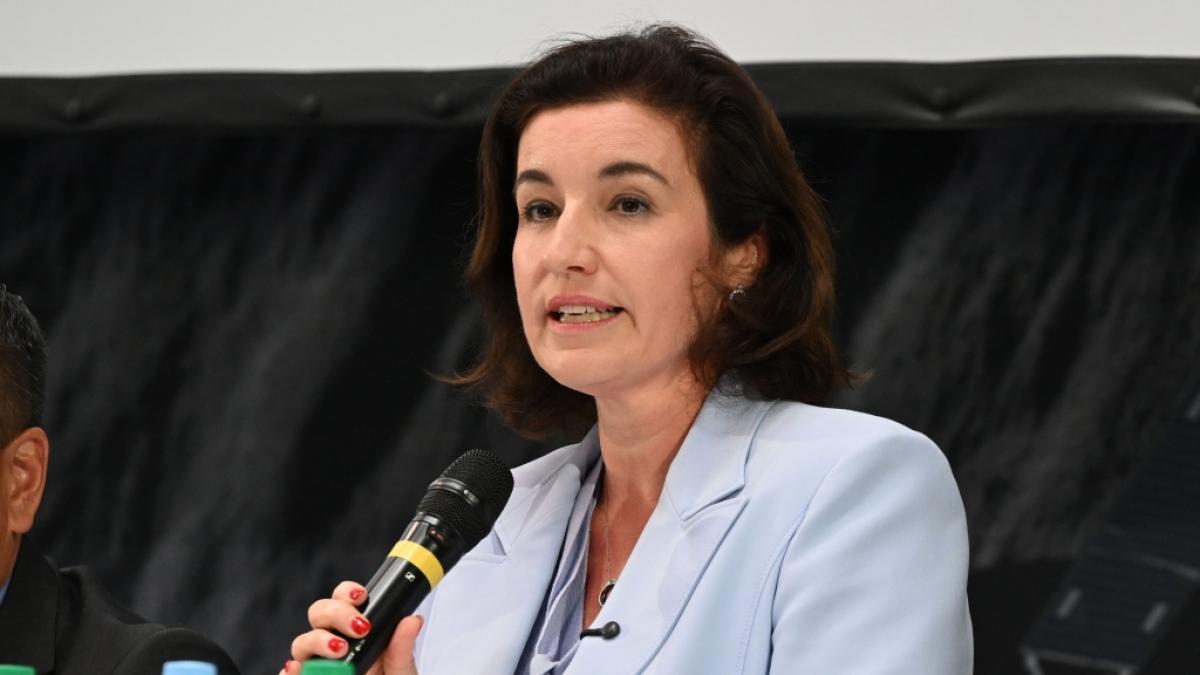 Bundesforschungsministerin Dorothee B&auml;r&nbsp;warnt vor der Sonnenfinsternis &ndash; und das Netz dreht durch. (Foto)