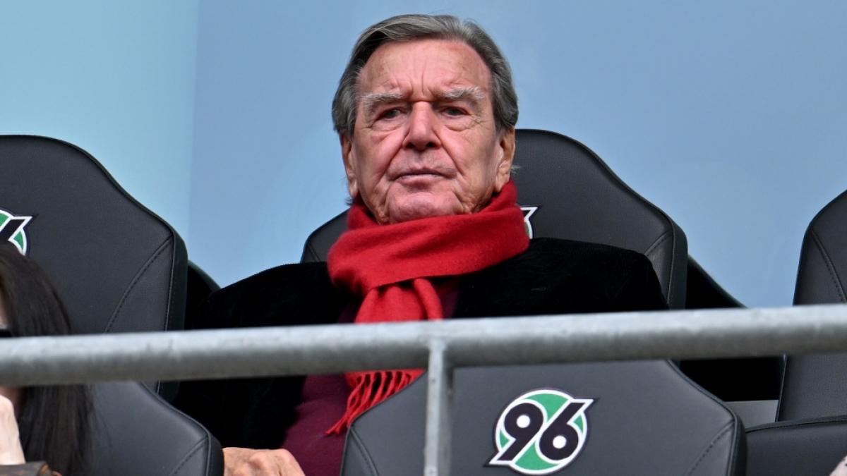 Gerhard Schr&ouml;der: Vom Kanzleramt in den Supermarkt &ndash; neuer Job bei Globus (Foto)