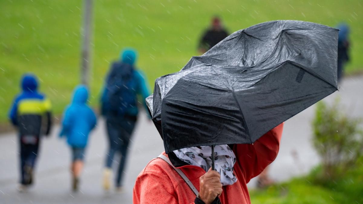 Schirm statt Sonnencreme: Zum Start in den August m&uuml;ssen Sommerfans weiter auf Sonnenschein und Hitze warten. (Foto)