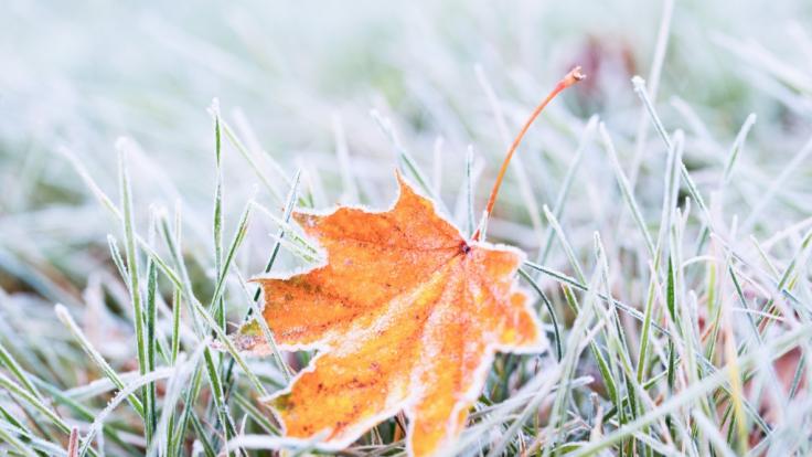 Wetterdienst warnt vor Luftfrost.