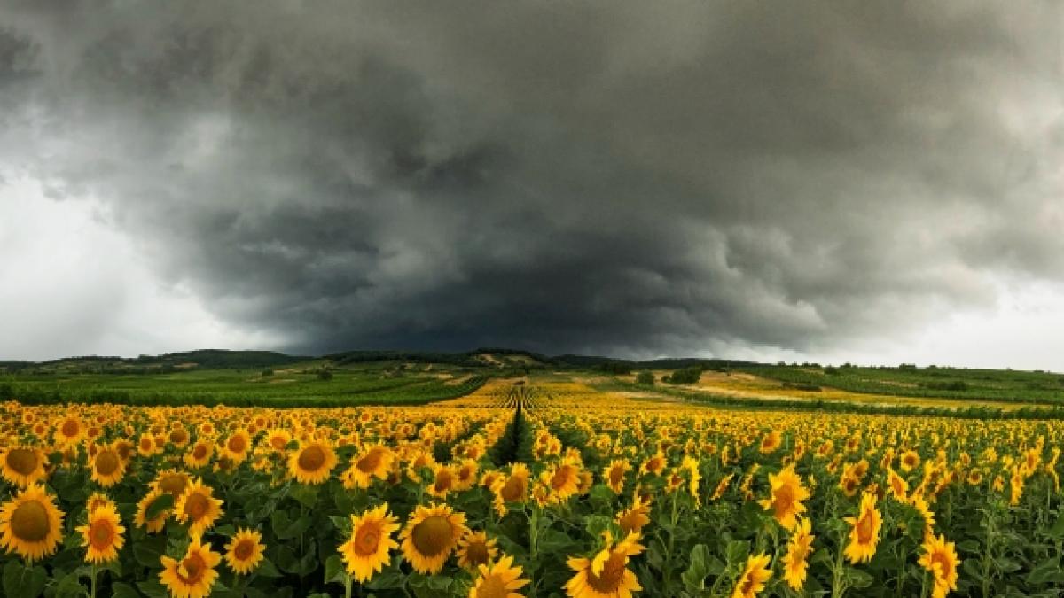 Von wegen hochsommerliches Wonne-Wetter: Der August kommt auch am Wochenende mit einem ungem&uuml;tlichen Mix aus Regen und Gewitter daher. (Foto)