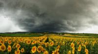 Von wegen hochsommerliches Wonne-Wetter: Der August kommt auch am Wochenende mit einem ungemütlichen Mix aus Regen und Gewitter daher.