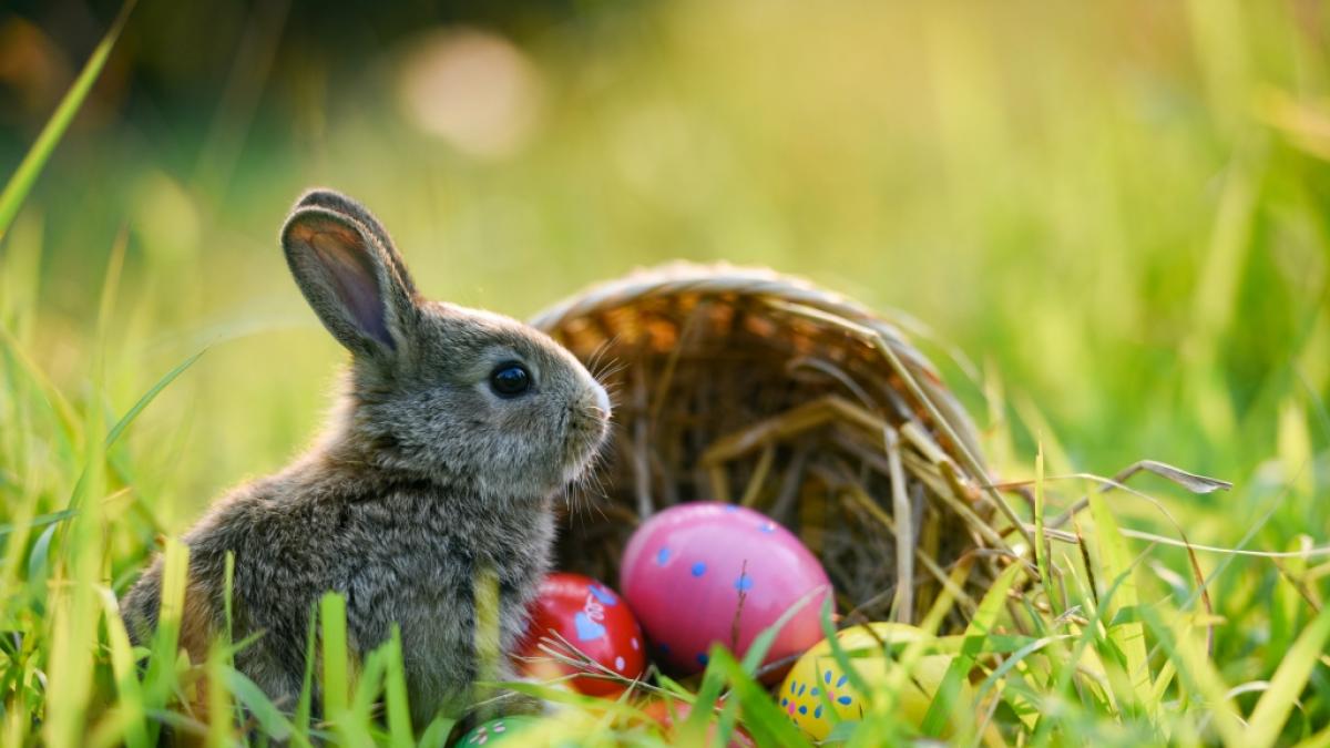 Das Wetter an Ostern zeigt sich &auml;u&szlig;erst wechselhaft. (Foto)