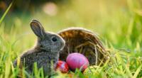 Das Wetter an Ostern zeigt sich äußerst wechselhaft.