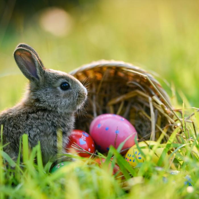 So warm wird es an Ostersonntag und Ostermontag