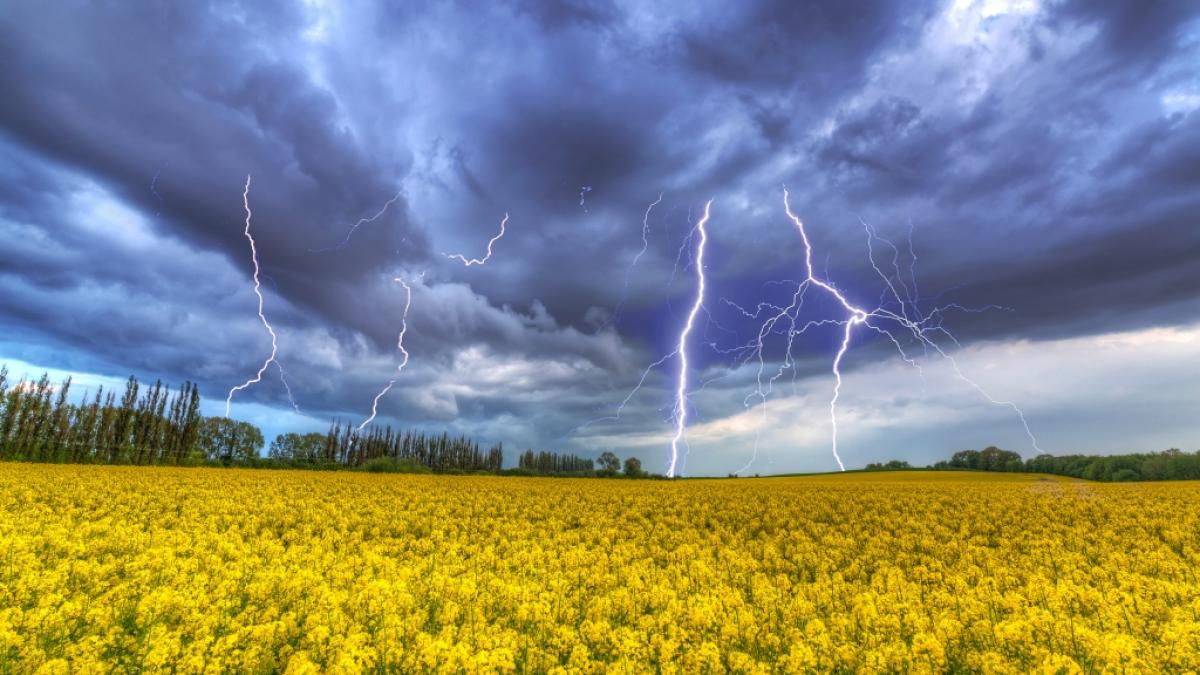 Da braut sich was zusammen: Schwere Gewitter k&ouml;nnen am Wochenende gebietsweise in Deutschland auftreten. (Symbolfoto) (Foto)