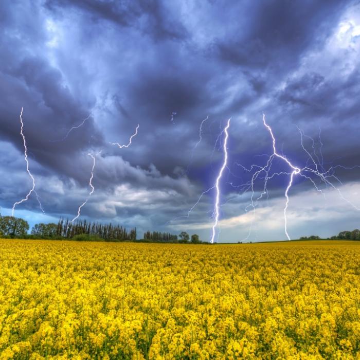 Starkregen, Sturmböen, Hagel! Heftige Gewitter krachen den Sommer weg