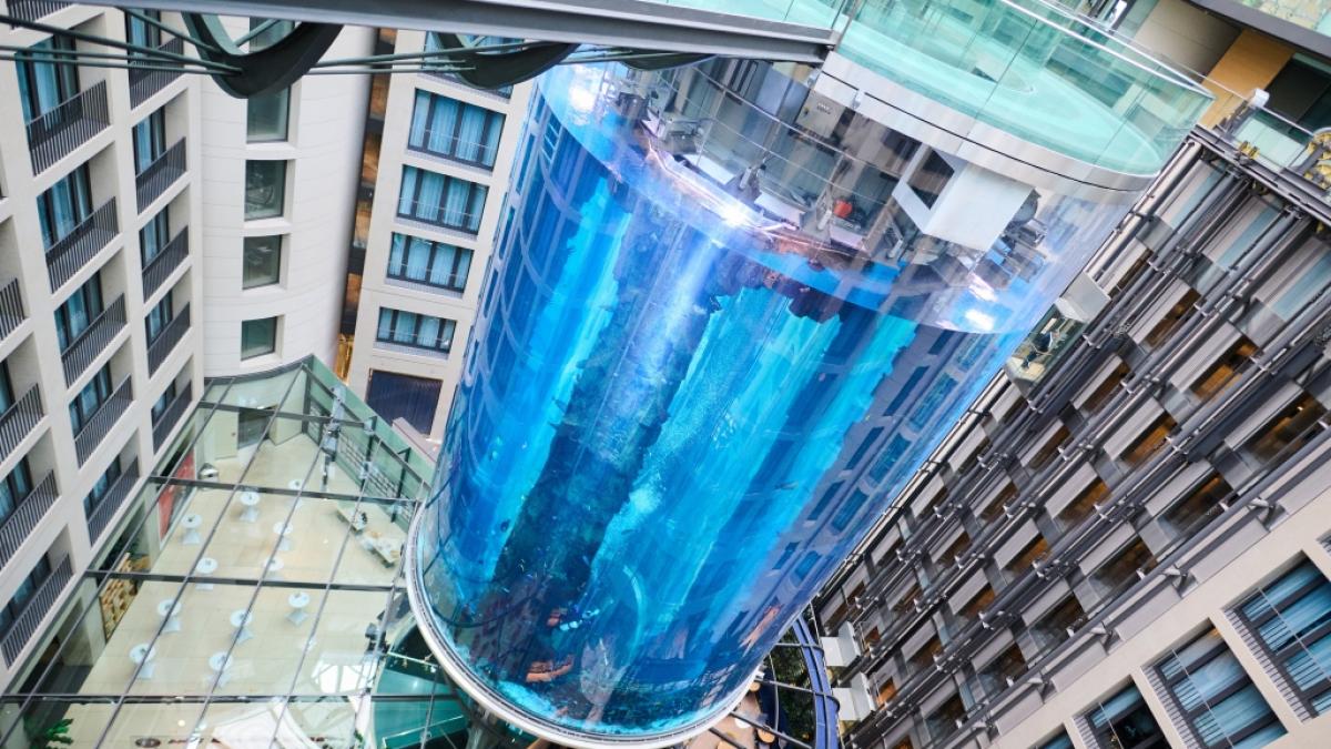 Ein Experte hatte schon vor der Explosion des Aquariums Bedenken. (Foto)