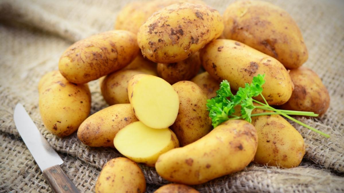 Bei Penny und Rewe verkaufte Speisefr&uuml;hkartoffeln werden im Mai 2024 aus Gr&uuml;nden des vorsorglichen Verbraucherschutzes zur&uuml;ckgerufen (Symbolfoto). (Foto)