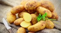 Bei Penny und Rewe verkaufte Speisefrühkartoffeln werden im Mai 2024 aus Gründen des vorsorglichen Verbraucherschutzes zurückgerufen (Symbolfoto).