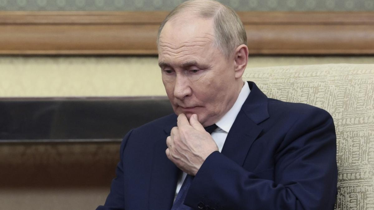 Wladimir Putin f&uuml;hrt seit Februar 2022 Krieg gegen die Ukraine. (Foto)
