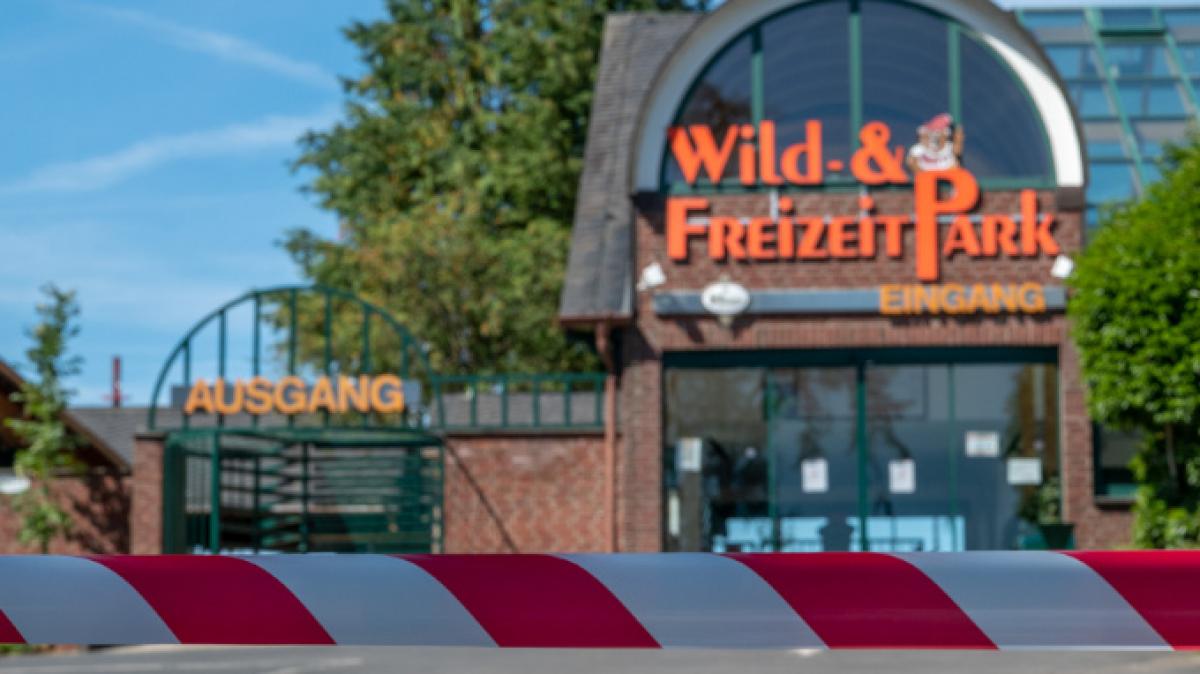 Die Polizei musste die abgest&uuml;rzte Frau offenbar erst suchen. (Foto)