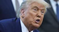 Donald Trump will sich mit einer protzigen Militärparade an seinem 79. Geburtstag selbst feiern - Trumps Gegner planen bereits Stör-Events.