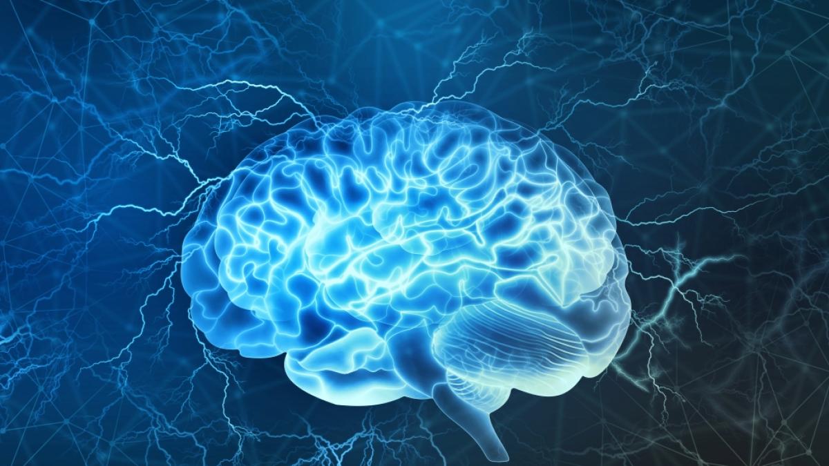 In Kanada stellt eine mysteri&ouml;se Hirnkrankheit Neurologen vor ein R&auml;tsel. (Foto)