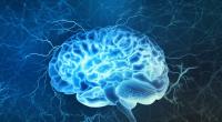 In Kanada stellt eine mysteriöse Hirnkrankheit Neurologen vor ein Rätsel.