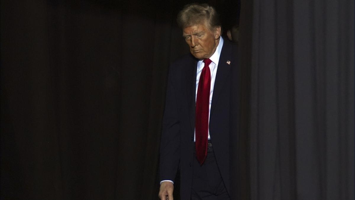 Mit seinen &ouml;ffentlichen Auftritten im US-Wahlkampf hat Donald Trump selbst Ger&uuml;chte um seine geistige Gesundheit gesch&uuml;rt. (Foto)