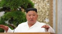 Kim Jong-un soll jetzt Schwarze Schwäne verspeisen.