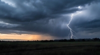 Wie wird das Wetter im Juni?