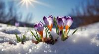Spätwinterliches Wetter in Deutschland