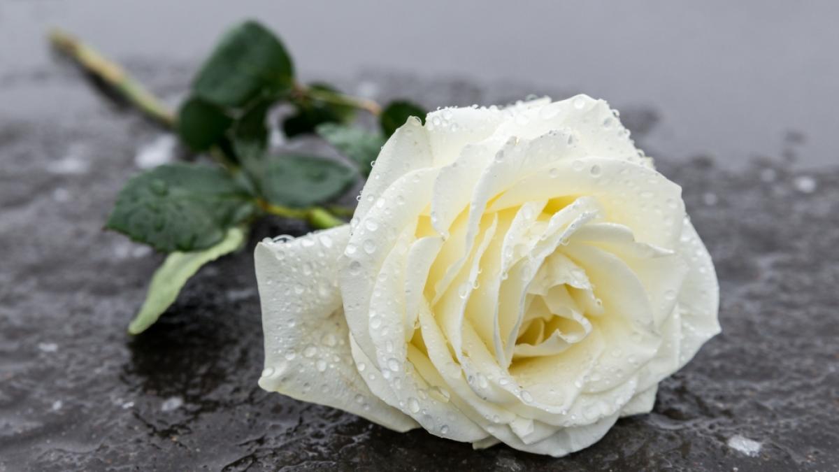 In der Woodham Academy wurden in Gedenken an den verstorbenen Sch&uuml;ler Ted S. (14) Blumen niedergelegt. (Symbolfoto) (Foto)