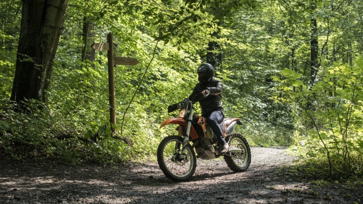 Schloss Einstein Stream