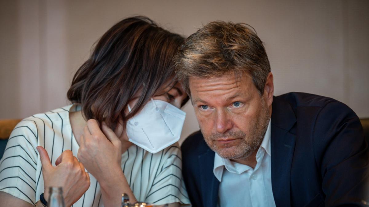 An welchen Stellen sparen Annalena Baerbock, Robert Habeck und Co. Energie? (Foto)