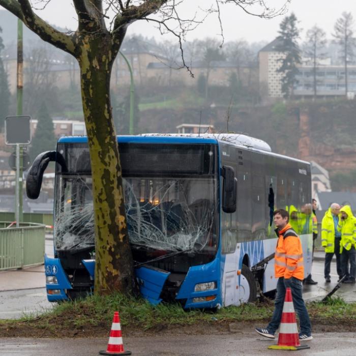 Bus rast gegen Baum - Busfahrer und 11 Kinder verletzt