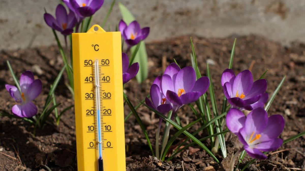 Wird der M&auml;rz trocken und warm? (Foto)