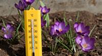 Wird der März trocken und warm?