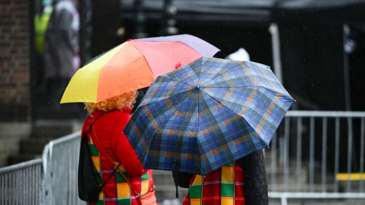 W&auml;hrend des Karnevals k&ouml;nnten Regenschirme Kost&uuml;me trocken halten. (Foto)