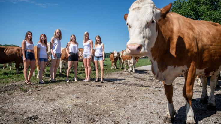 Bei diesen sexy Models wird das landwirtschaftliche Nutztier glatt zur Nebensache.