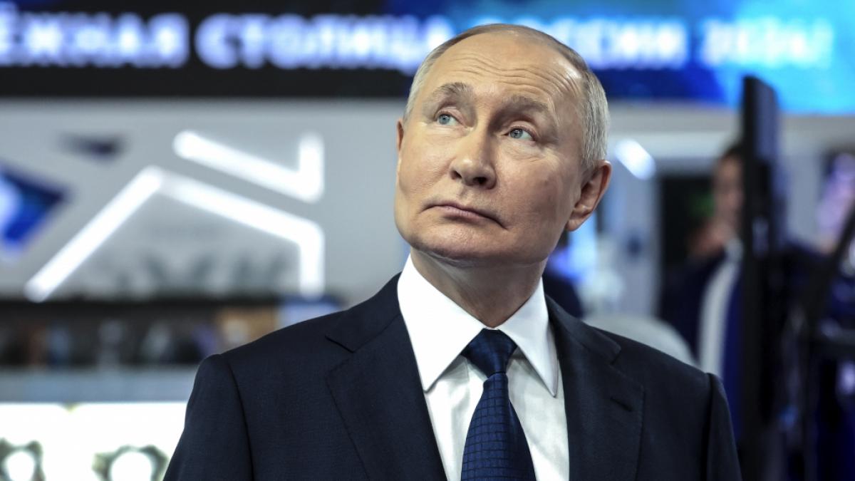 Wladimir Putin hat mit seinem seit 2022 tobenden Ukraine-Krieg daf&uuml;r gesorgt, dass sich der Westen mit neuen B&uuml;ndnissen neu gegen m&ouml;gliche Attacken Russlands aufstellt. (Foto)