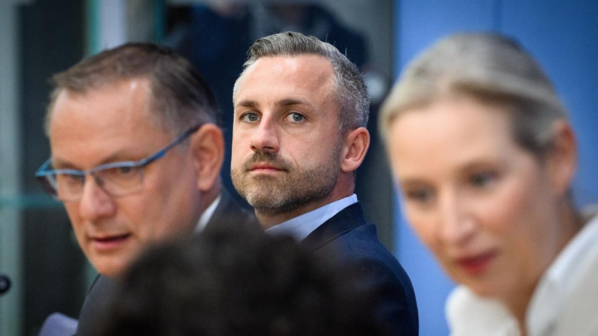 AfD in Sachsen-Anhalt: Siegmund will Regierungsmehrheit erzwingen (Foto)