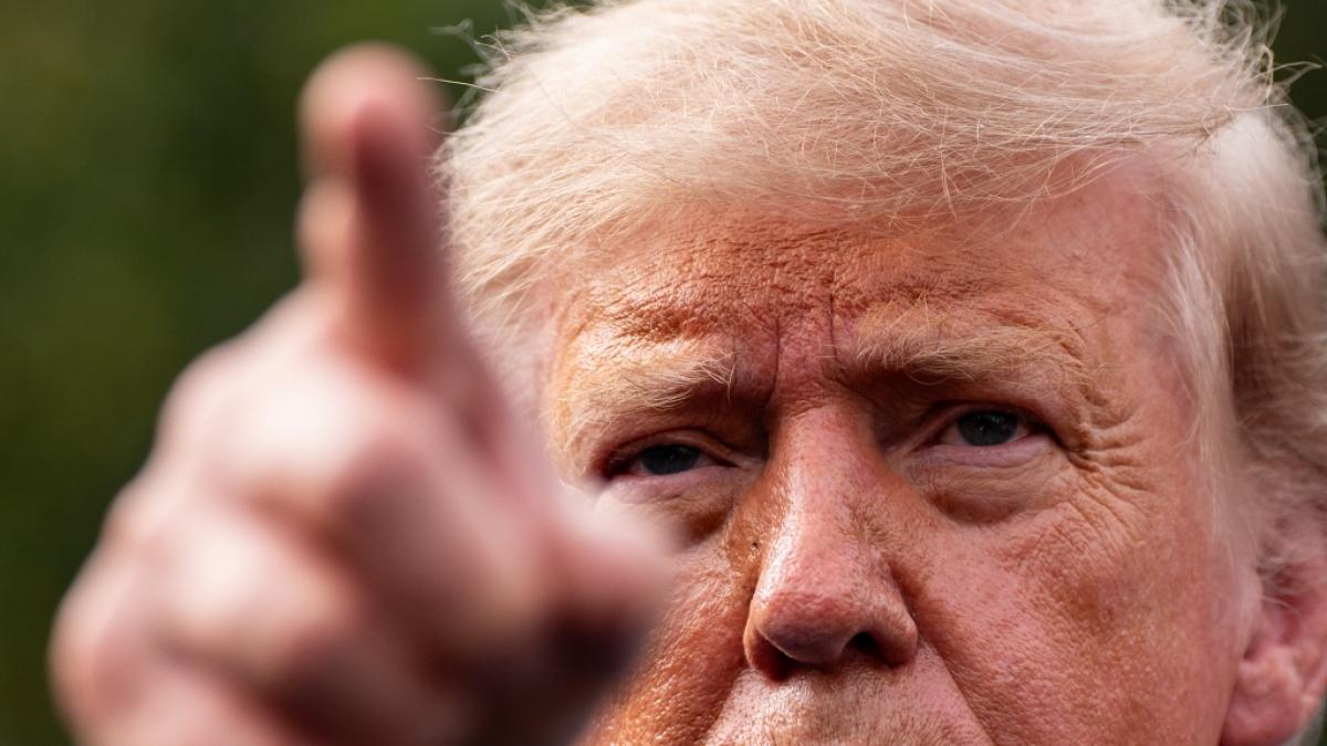 Donald Trump erkl&auml;rt invasiven Moskitos den Krieg. (Foto)