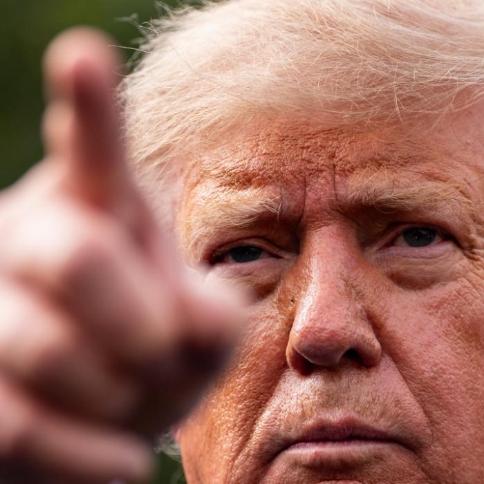 Donald Trump erklärt invasiven Moskitos den Krieg.