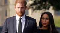 Zu ihren Lebzeiten werden Prinz Harry und Meghan Markle vermutlich nie König in Königin - ein walisischer Maler hat die Sussexes nun trotzdem 